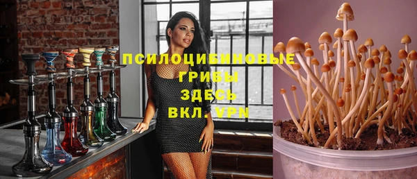 МДПВ Верея
