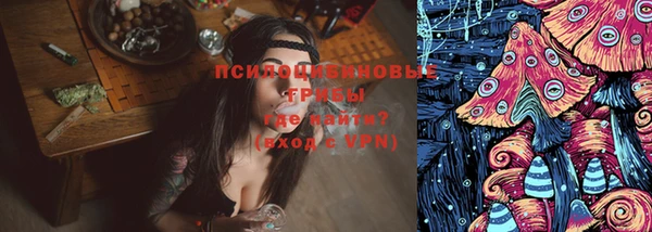 МДПВ Верея