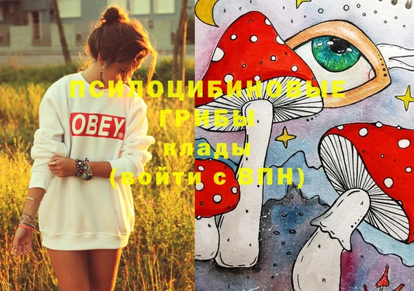 МДПВ Верея