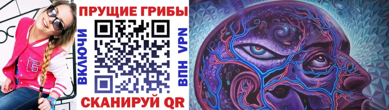 Купить где  Лосино-Петровский  Псилоцибиновые грибы прущие грибы 