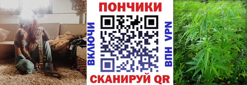 Купить закладки  Лосино-Петровский  Бошки марихуана VHQ 